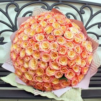 Букет Оранжевые розы Эквадор 101 шт (50 см) (артикул: 250824vggd)