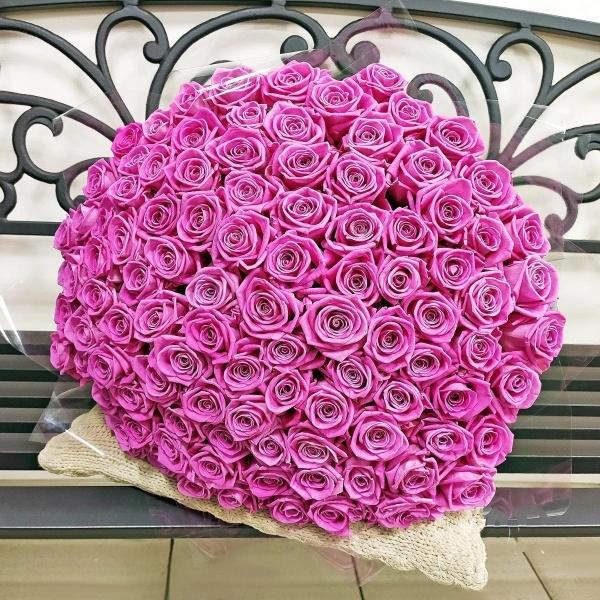 Розовые розы Эквадор 101 шт (50 см) №  250656